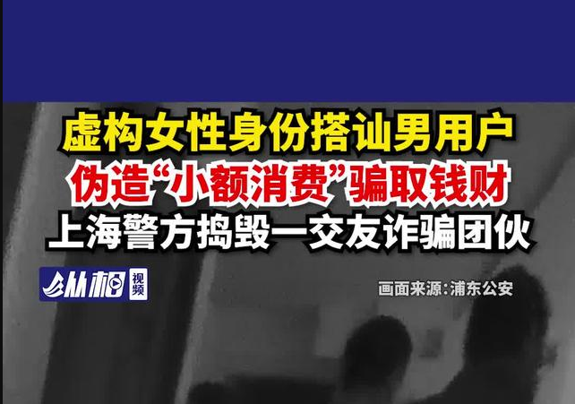 虚构女性身份搭讪男用户，伪造“小额消费”骗取钱财，上海警方捣毁一交友诈骗团伙