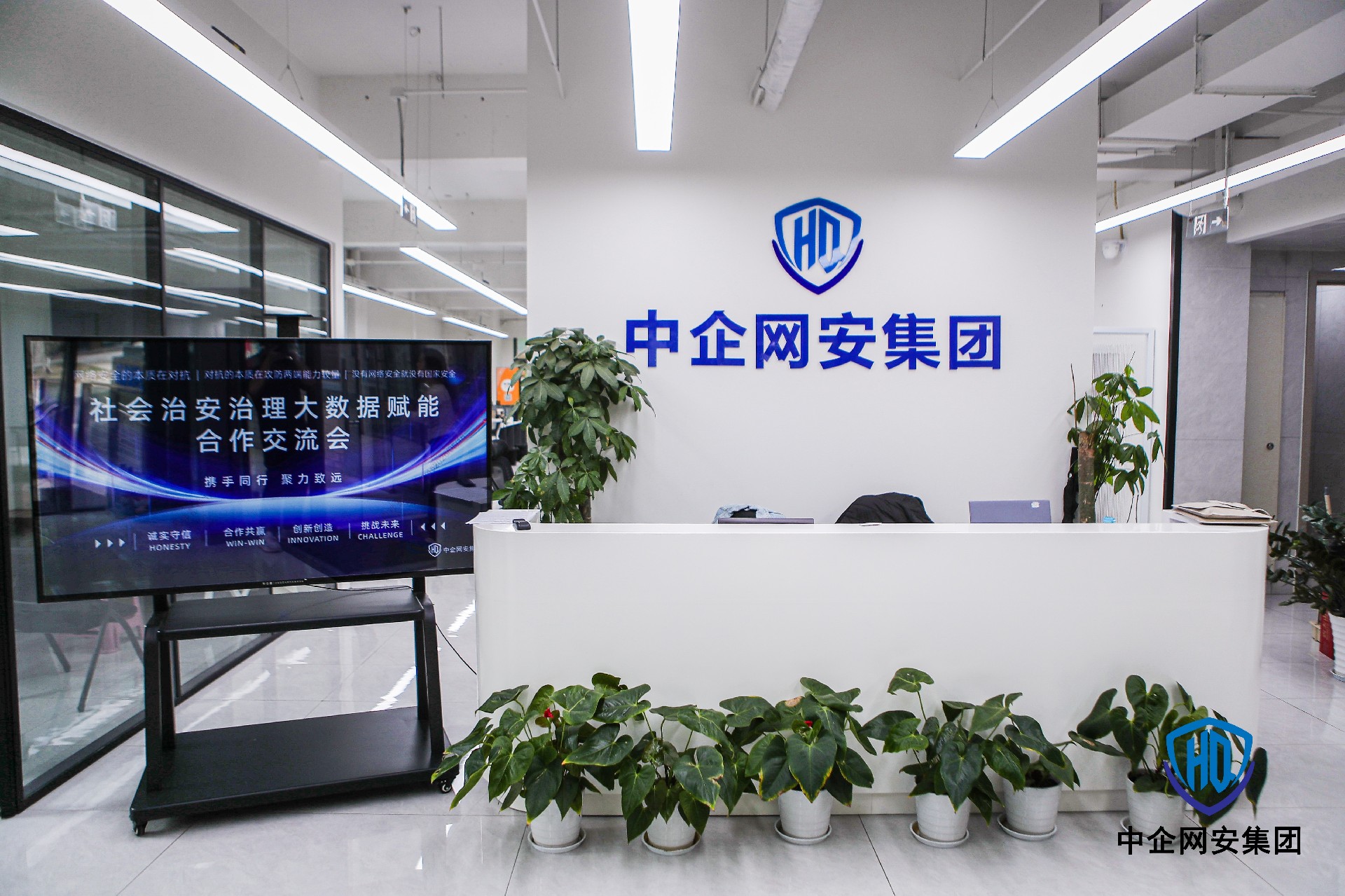中企网安集团